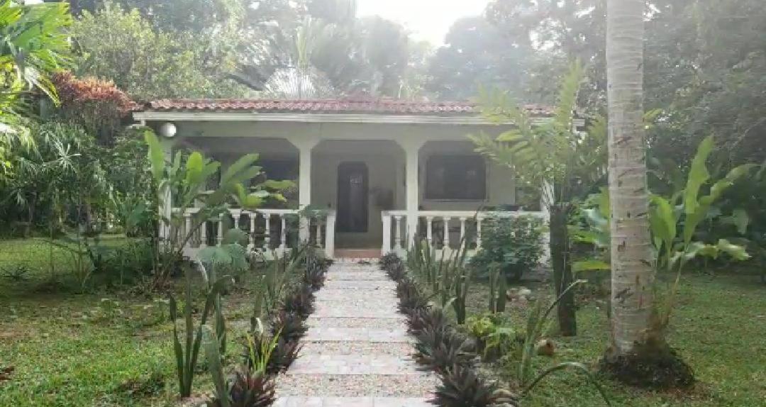 Hostal Cecilia Puerto Viejo de Talamanca Exterior foto